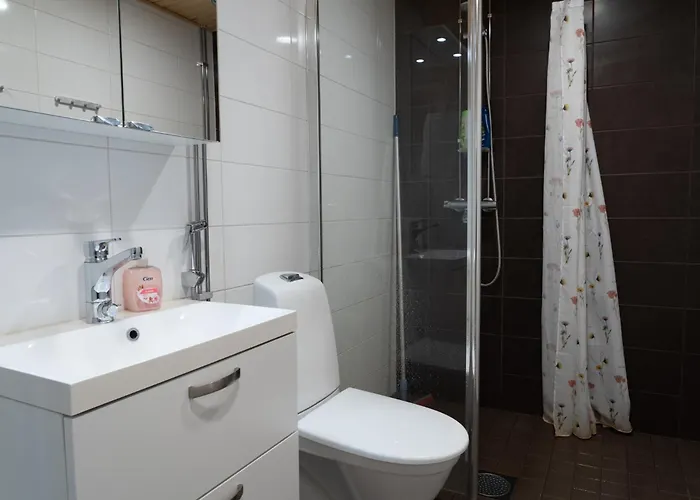 Kaksio Helsingissae Hyvien Kulkuyhteyksien Varrella Apartment *