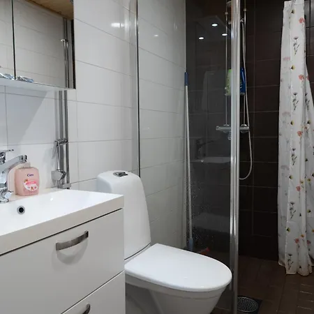 Kaksio Helsingissae Hyvien Kulkuyhteyksien Varrella アパート *