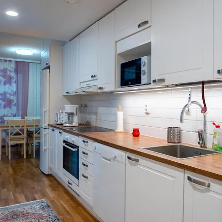 Kaksio Helsingissae Hyvien Kulkuyhteyksien Varrella * ヘルシンキ